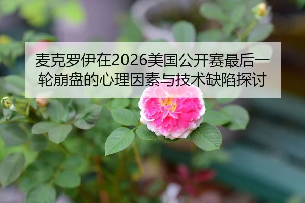 麦克罗伊在2026美国公开赛最后一轮崩盘的心理因素与技术缺陷探讨